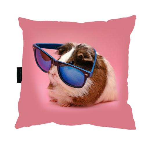 poduszka świnka róż.png