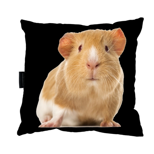 poduszka świnka morska 3_Easy-Resize.com.jpg