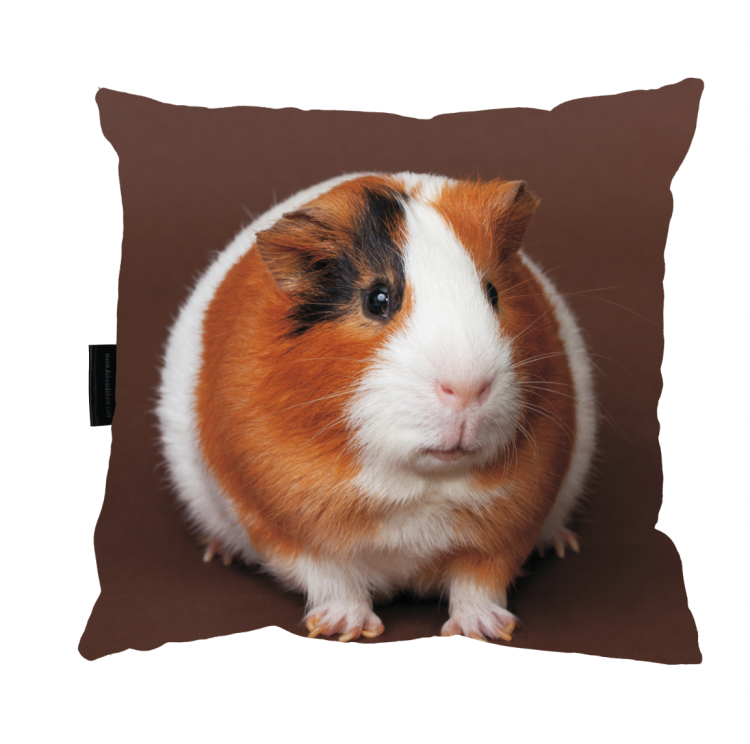 Zrzut ekranu 2022-12-28 o 11.52.21.png