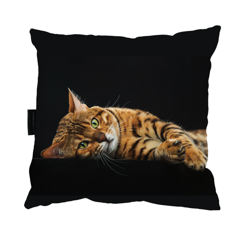 poduszka kot bengalski.png