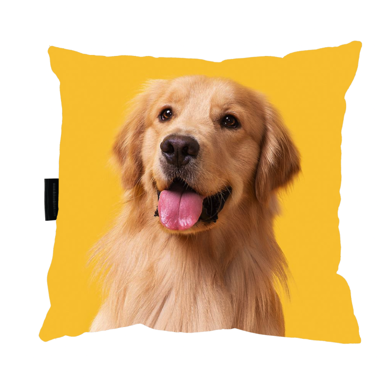 poduszka golden retriver.png