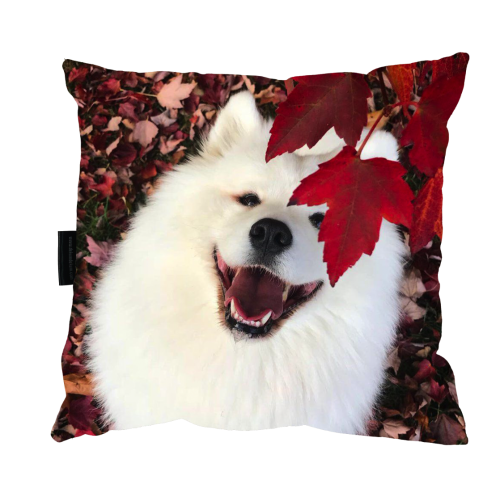 poduszka samoyed liść zdj.png