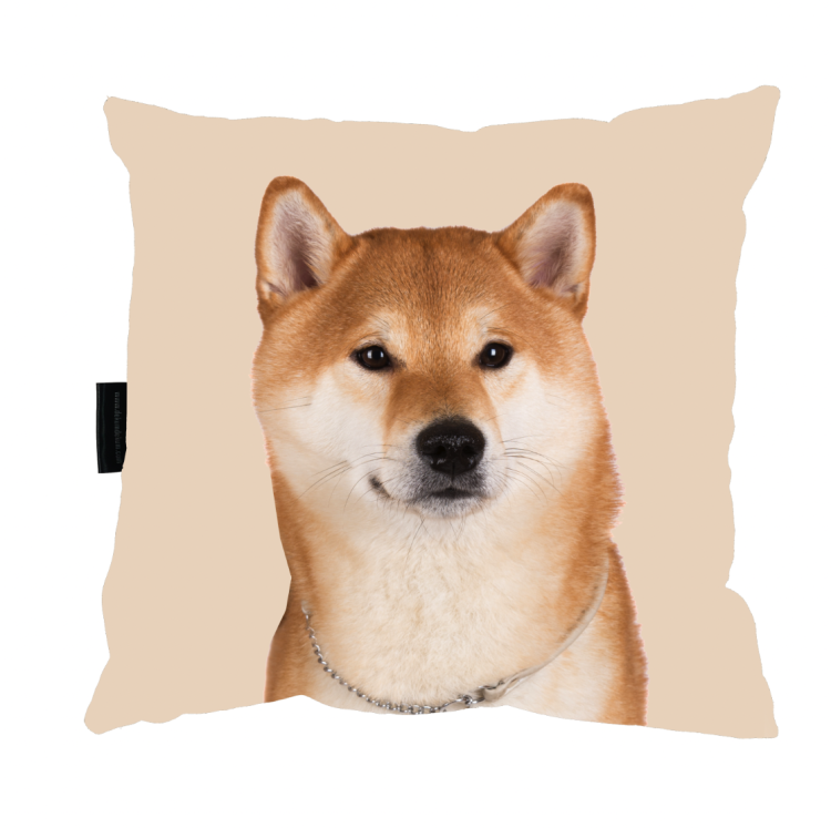 poduszka akita inu zdj.png