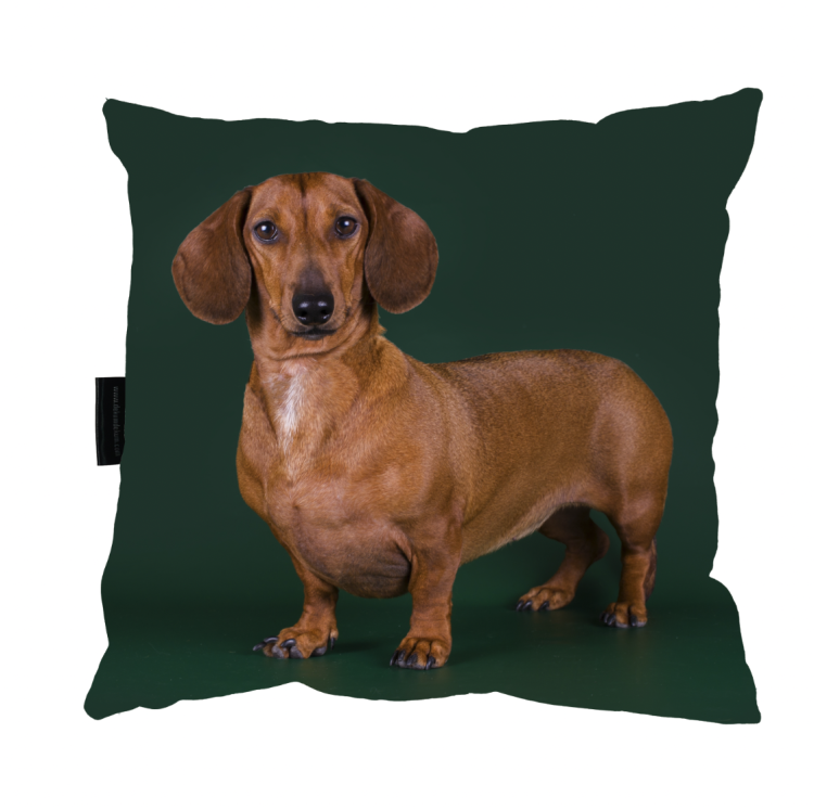 poduszka jamnik brąz zdj.png