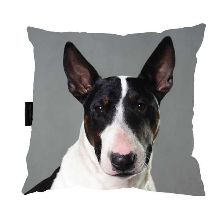 poduszka bulterier zdj szary.png