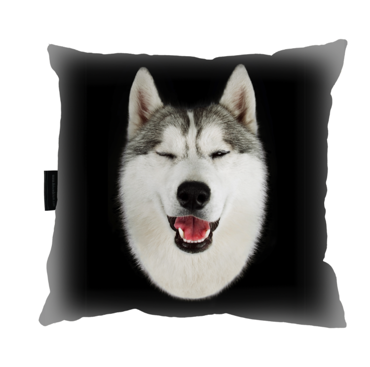 poduszka husky zdj.png