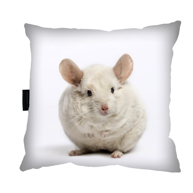 poduszka szynszyla zdj.png