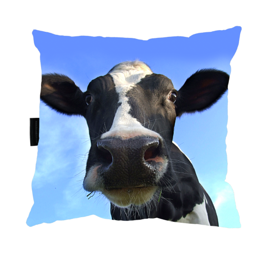 poduszka krowa zdj.png
