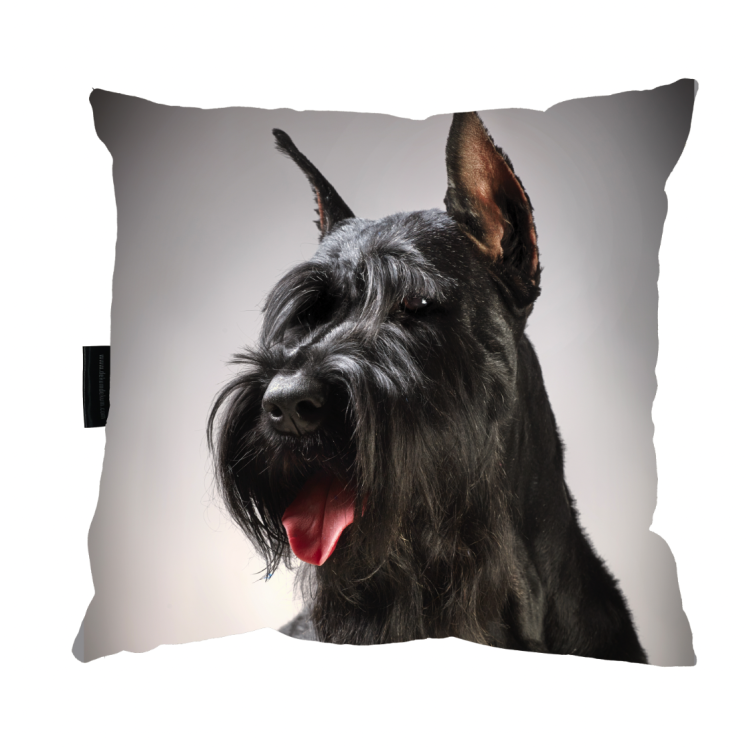 poduszka sznaucer zdj.png