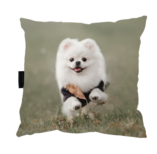 Zrzut ekranu 2023-01-11 o 11.42.20.png