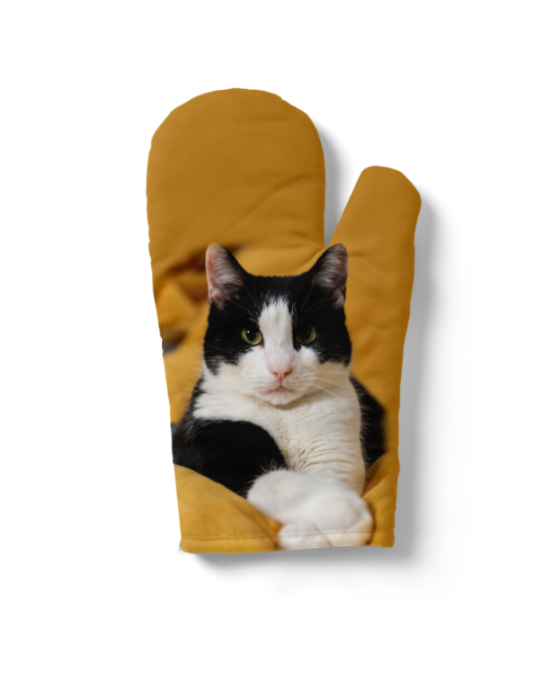 rękawica kot czarnobiały.png