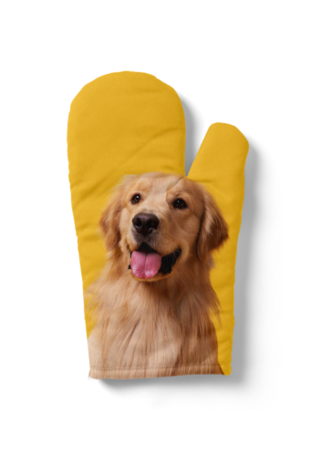 rękawica golden.png