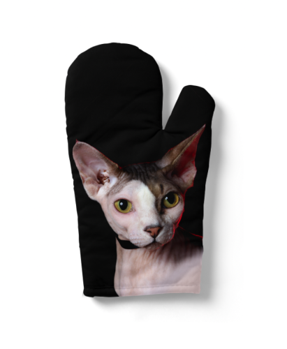 rękawica sfinks.png