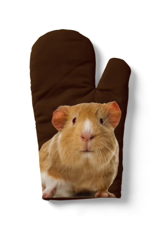 rękawica świnka morska.png