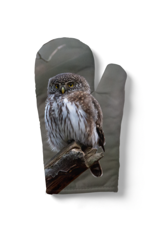 rękawica sowa.png