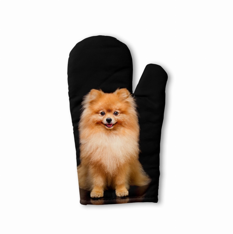 rękawica pomeranian zdj.jpg
