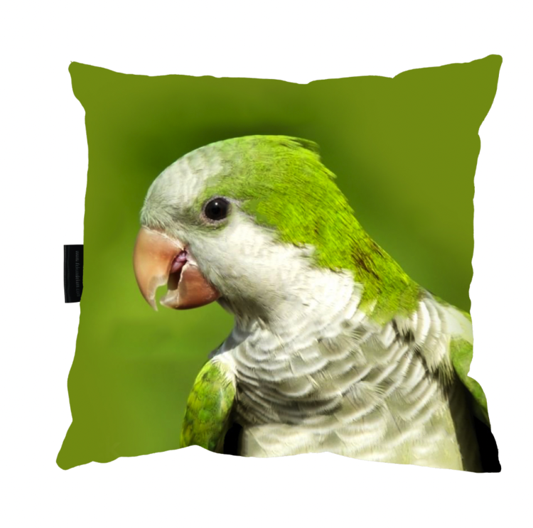 Zrzut ekranu 2023-02-3 o 14.03.06.png