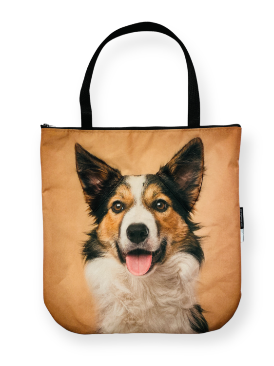PhotoRoom_20221214_154528.PNG