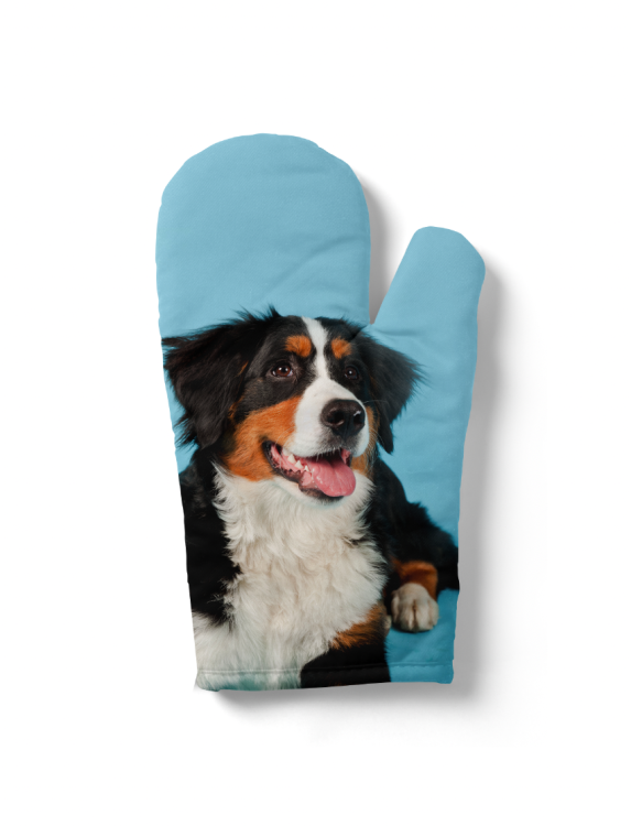 rękawica berneńczyk.png