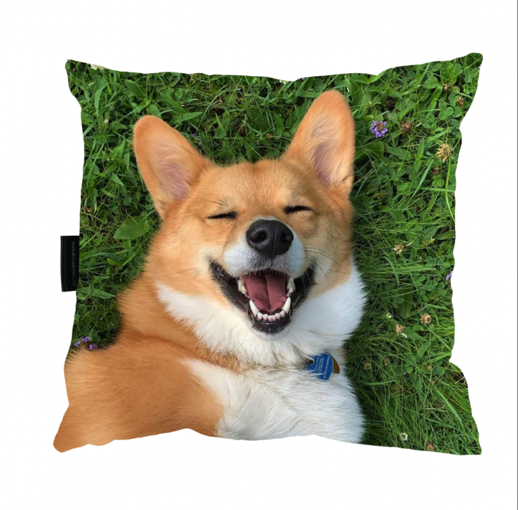 Zrzut ekranu 2023-03-20 o 14.41.20.png