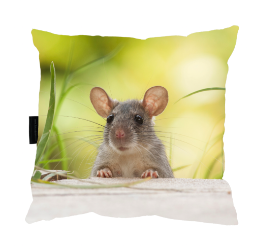 poduszka myszka zdj.png