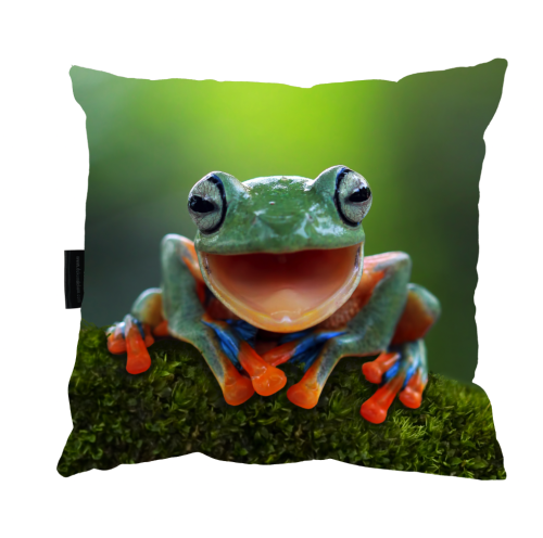 poduszka żaba zdj.png