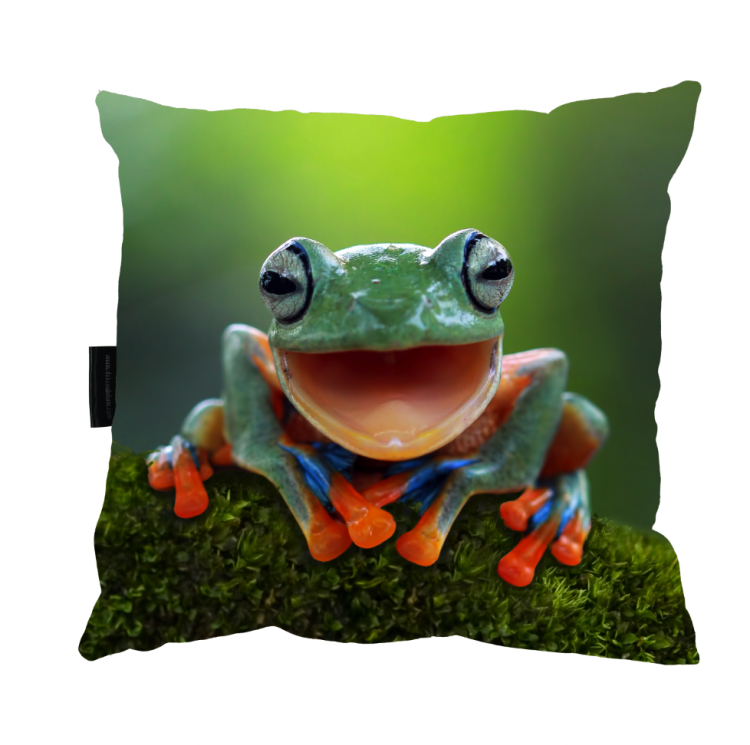 poduszka żaba zdj.png