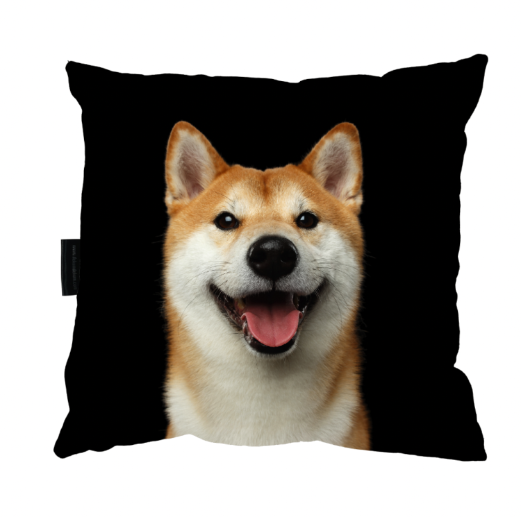 poduszka shiba inu zdj.png