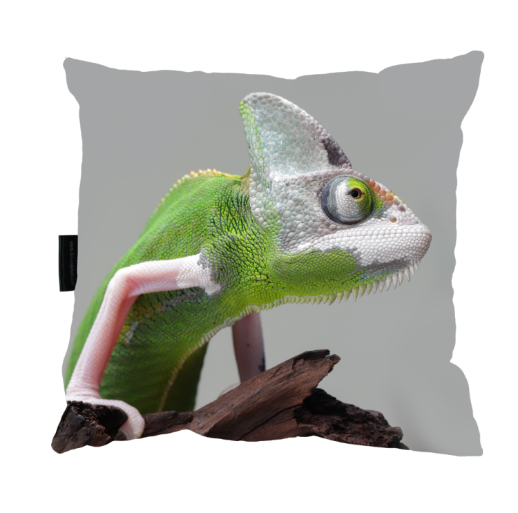 poduszka kameleon.png