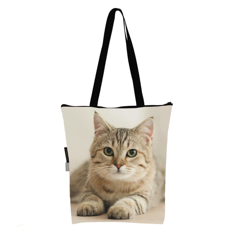 torba kl kot beżowy zdj.png