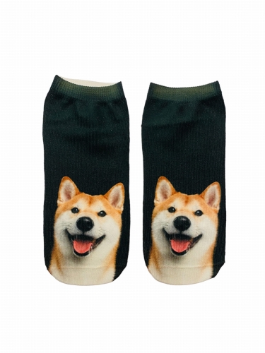 skarpetki shiba.JPG