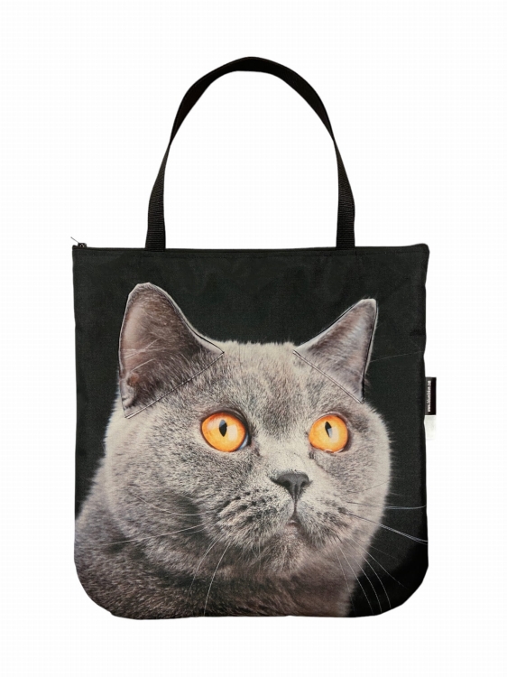 torba kot brytyjski .JPG