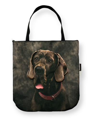 torba dog.PNG