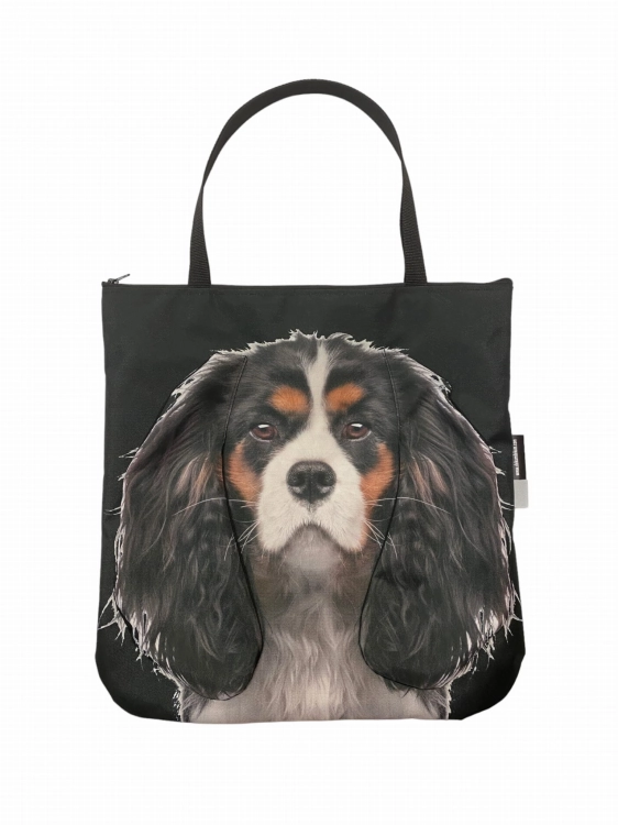 torba spaniel.JPG
