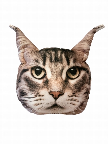 poduszka 3d mainecoon.JPG