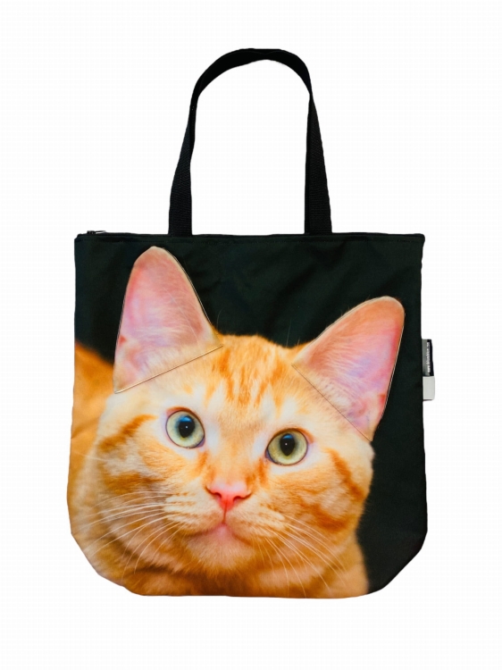 torba 3d kot rudy.JPG