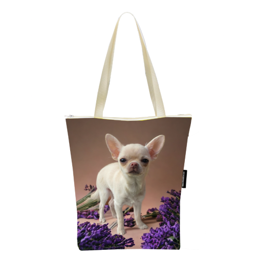 Zrzut ekranu 2023-06-23 o 12.40.59.png