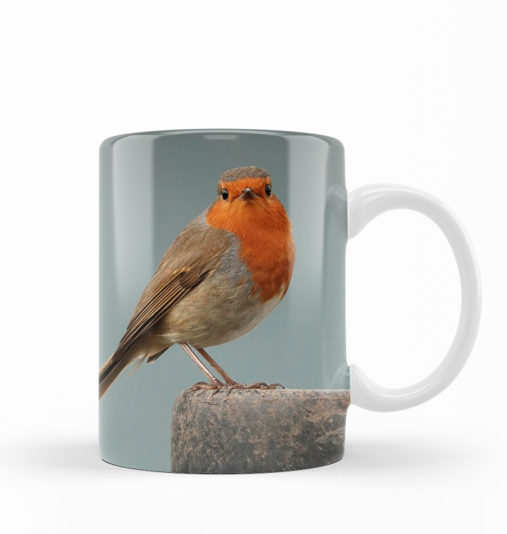 ubek koliber zdj.png