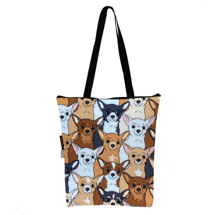 torba chihuahua mix.png