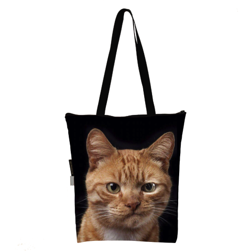 torba klasyczna kot rudy angry.png