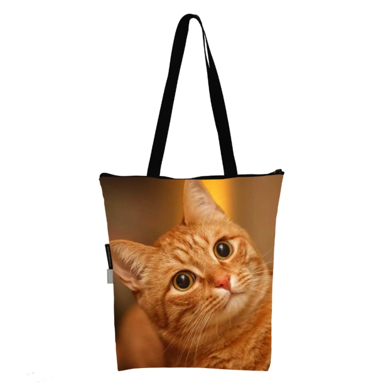 torba klasyczna kot rudy 2.png