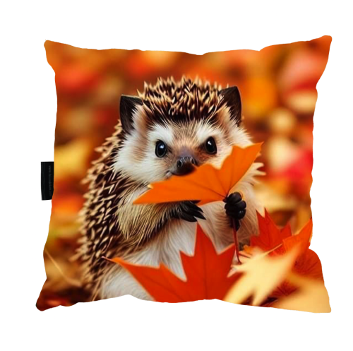 poduszka jesienny jeż zdj.png