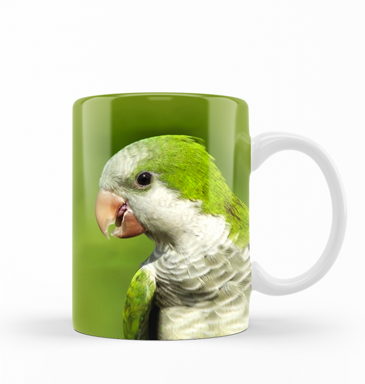 kubek mnicha nizinna zdj.png