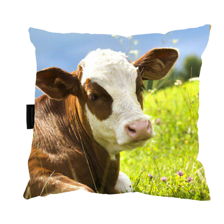poduszka krowa 2.png