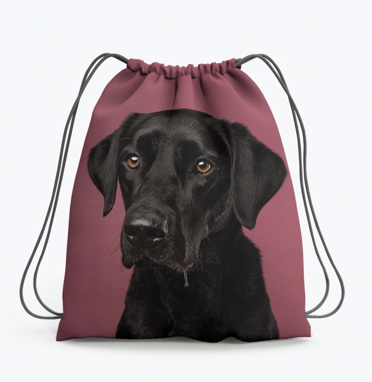 worke labrador róz.png