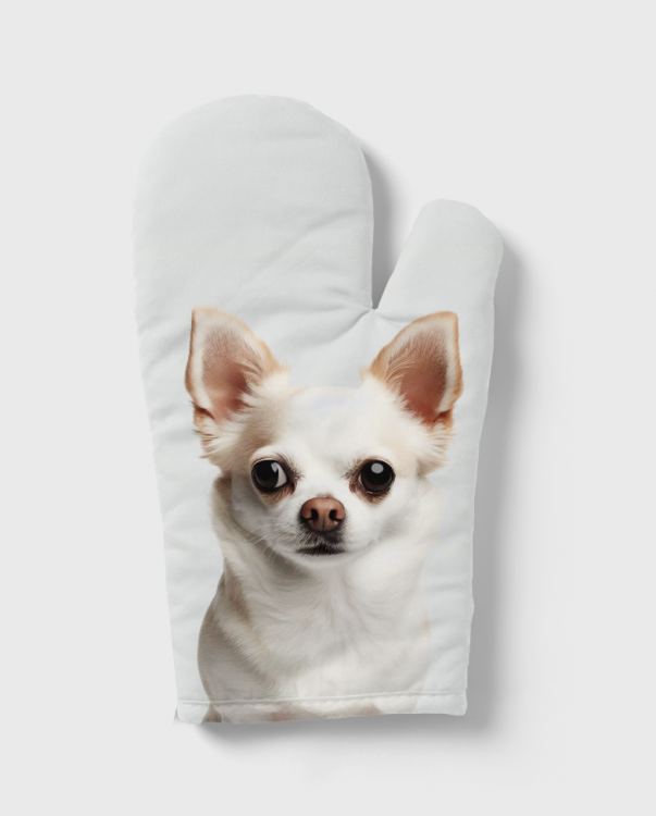 rękawica chihuahua.png