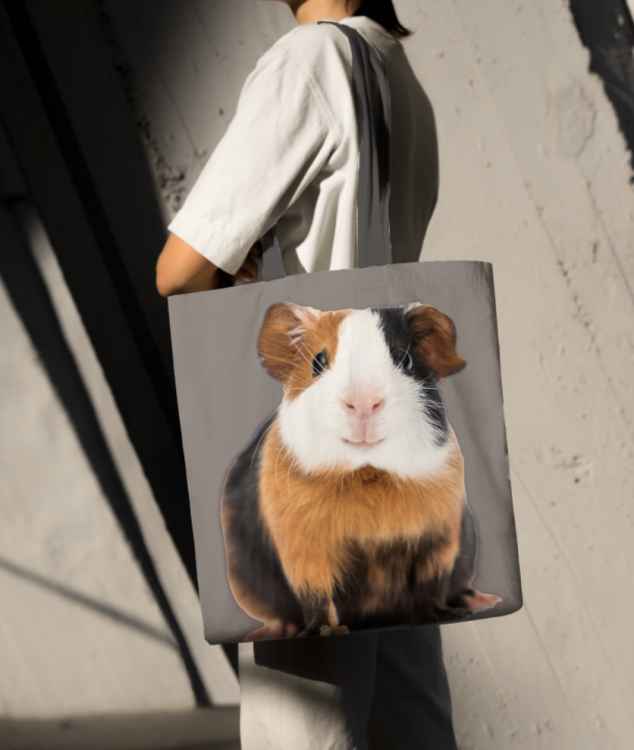 Zrzut ekranu 2023-12-13 o 20.20.13.png