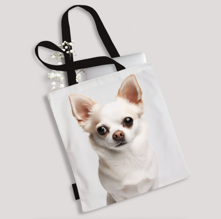 Zrzut ekranu 2023-12-22 o 14.24.37.png