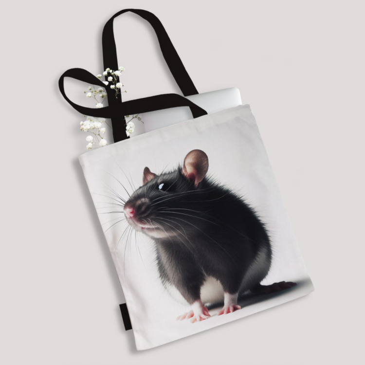 Zrzut ekranu 2023-12-20 o 19.25.35.png