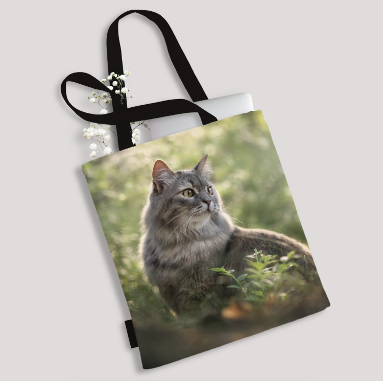 Zrzut ekranu 2024-01-23 o 12.11.36.png